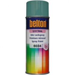 AEROSOL BELTON RAL 6034